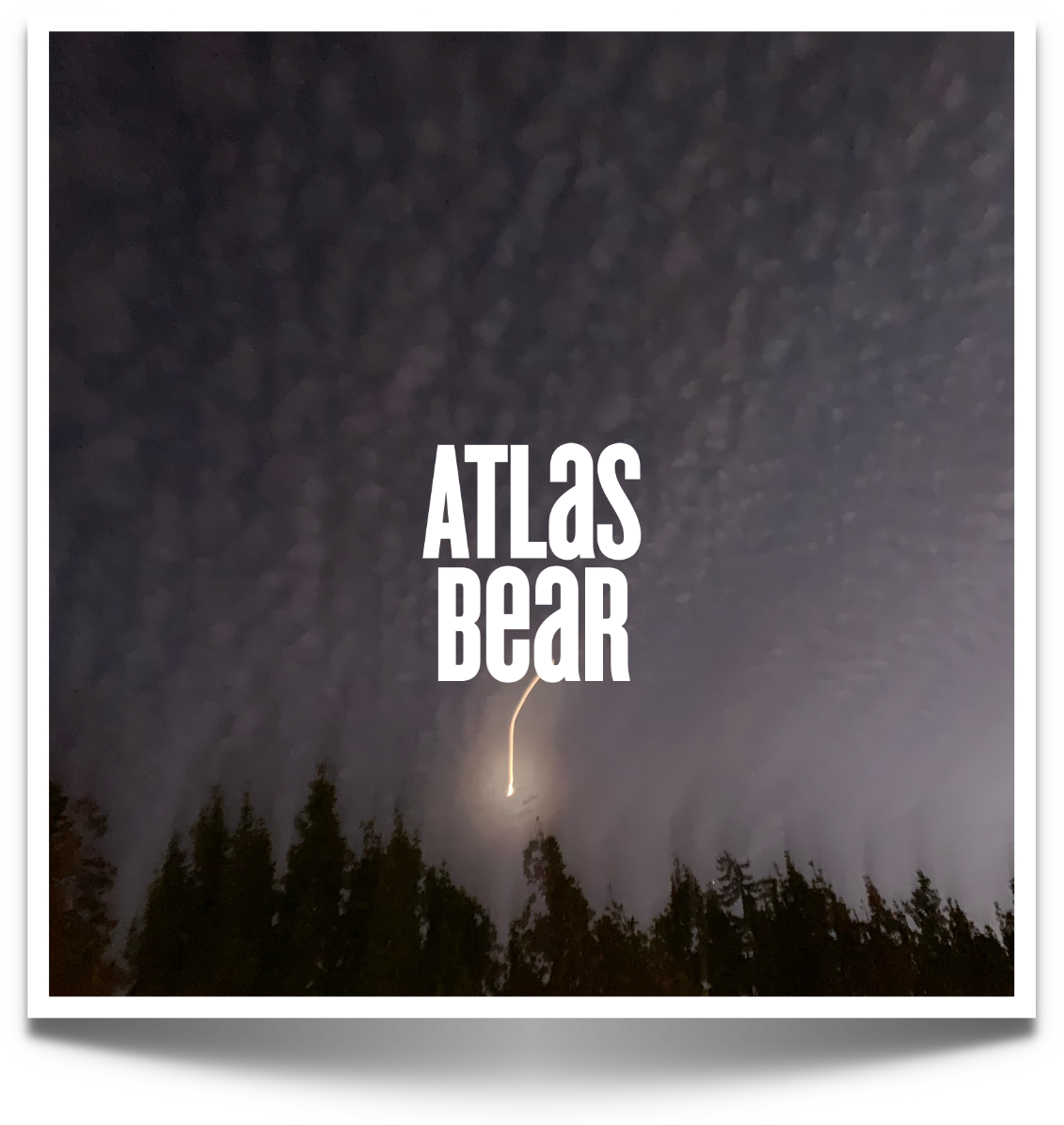 Atlas Bear
